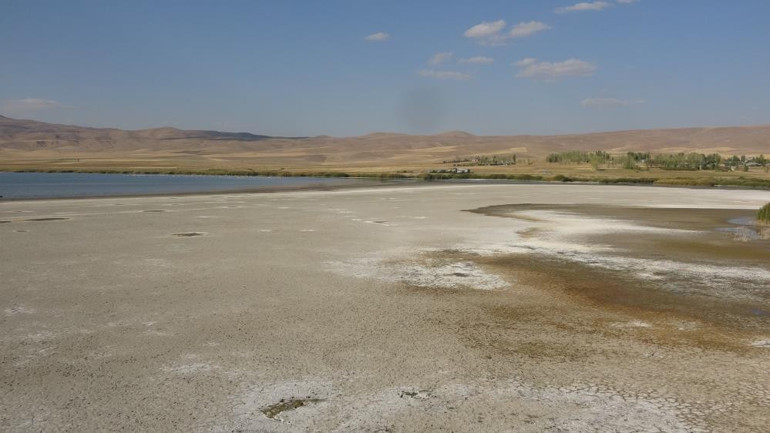 Kuş cenneti Erçek Gölü’nde endişelendiren görüntü