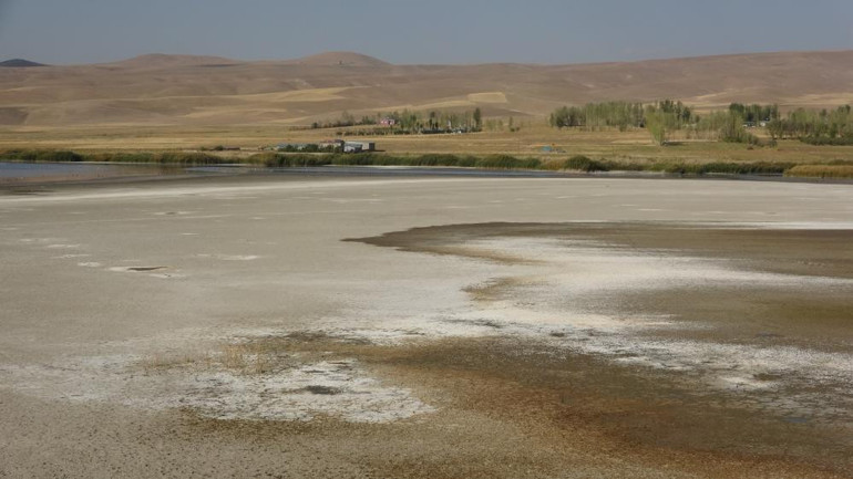Kuş cenneti Erçek Gölü’nde endişelendiren görüntü