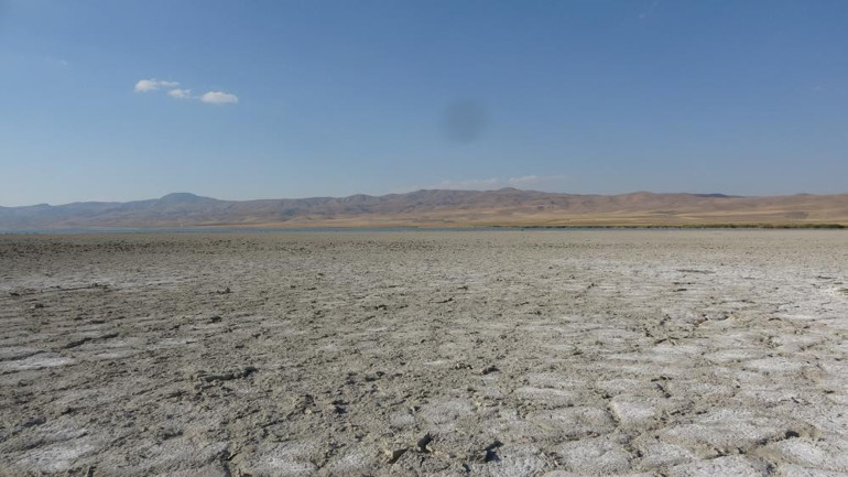 Kuş cenneti Erçek Gölü’nde endişelendiren görüntü