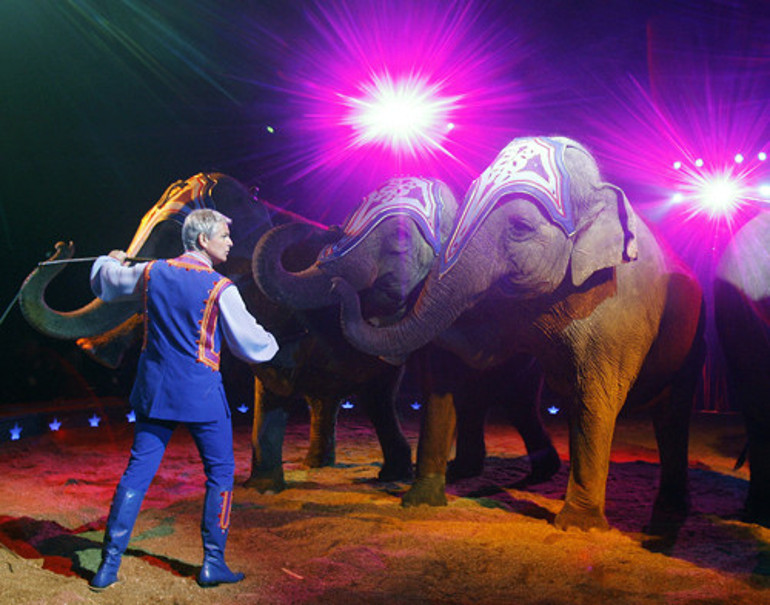 Prenses önce korumasıyla evlendi, sonra fil terbiyecisine kaçtı Skandal kraliyet aşkları