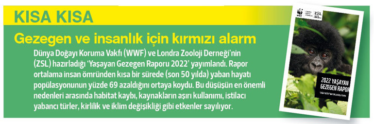 Yediğimiz önümüzde, yemediğimiz çöpte ve dağlar büyüklüğünde