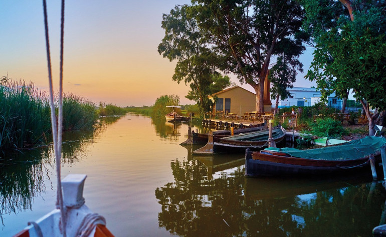 Valensiya’da doğan kadın şef hareketinden lezzetli öneriler