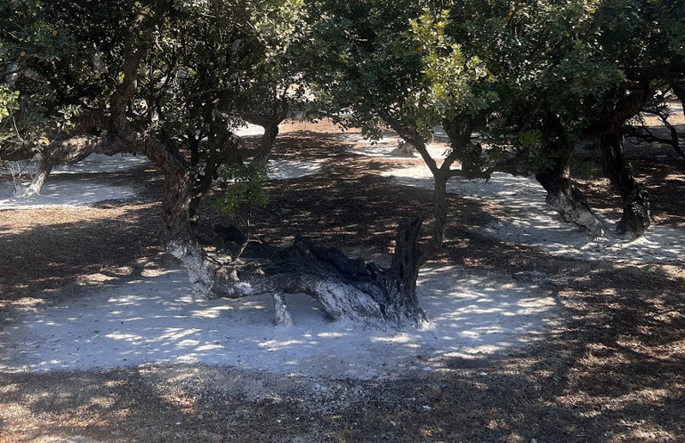 Şimdi yola çıkma vakti: Sonbaharın keyifli aktiviteleri | 12 ŞEHİR 15 ADRES