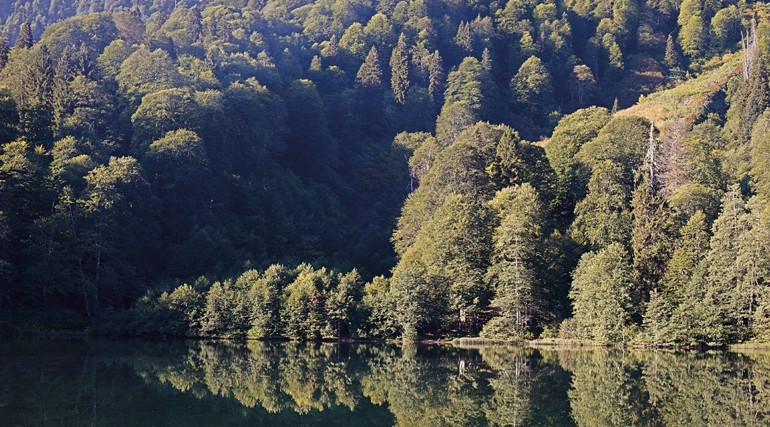 Yeryüzünün cenneti sonbaharın başkenti Artvin