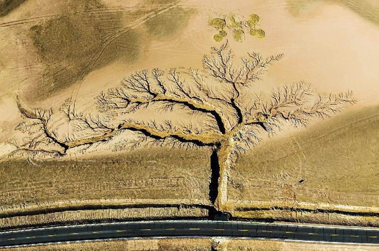 Objektife yansıyan dünya halleri