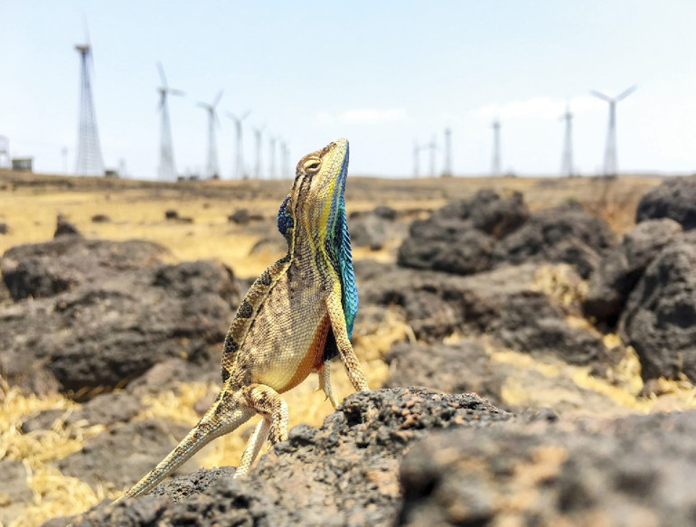 Objektife yansıyan dünya halleri