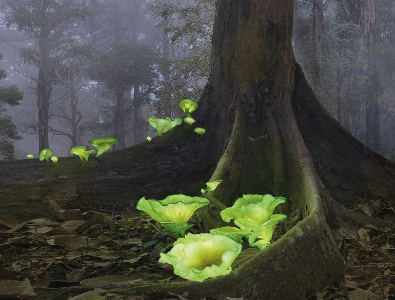 Objektife yansıyan dünya halleri
