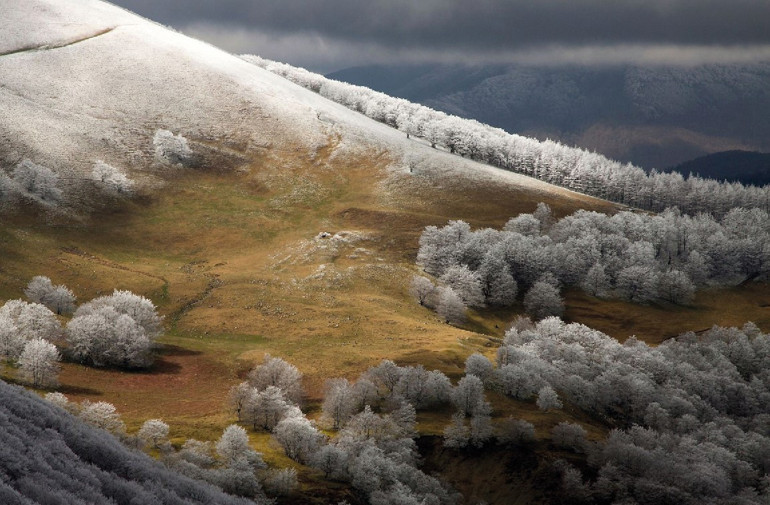 Objektife yansıyan dünya halleri