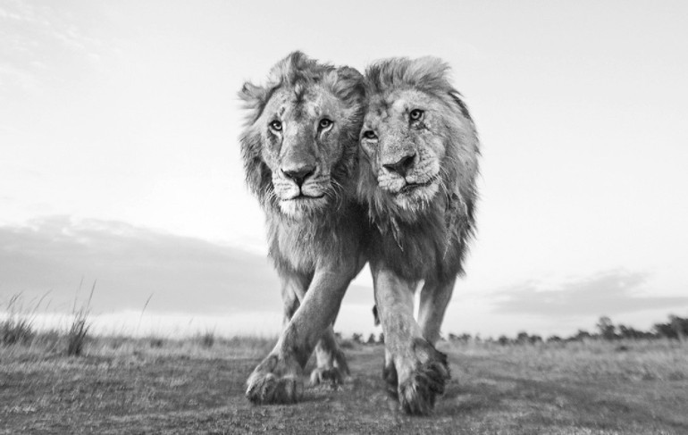 Objektife yansıyan dünya halleri