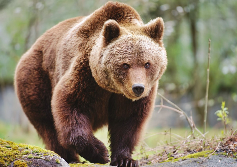 Objektife yansıyan dünya halleri