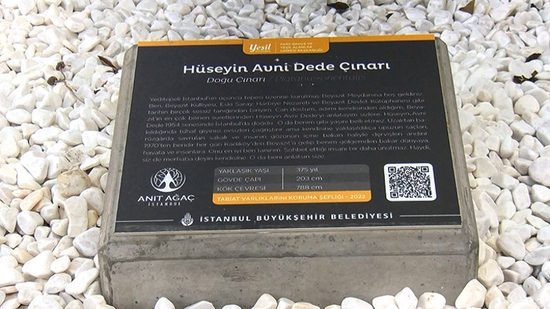Hüseyin Avni Dede’nin adı 58 yıldır altında yaşadığı çınara verildi