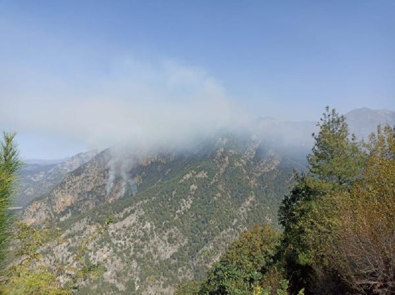 Son dakika... Osmaniye’deki orman yangını ikinci gününde