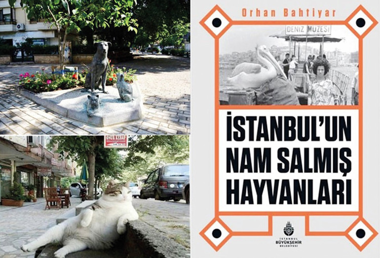 Hayvan hakları tarihi