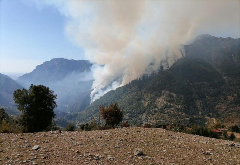 Son dakika... Osmaniyedeki orman yangını 3. gününde Büyüyerek devam ediyor