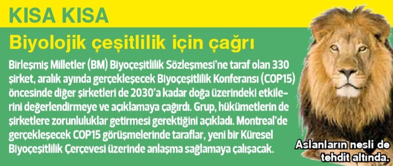 Eylem mi yoksa vandallık mı