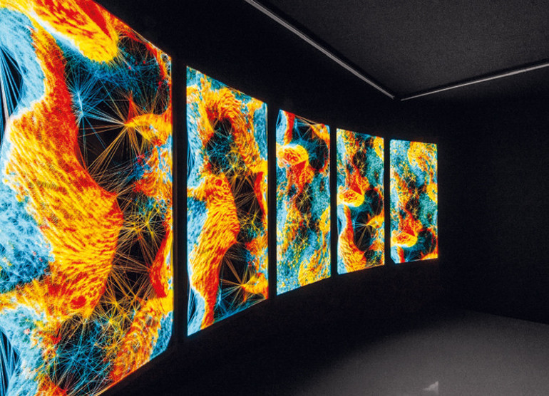 Reha Muhtar müdavimi olduğu mekânda kavga etti