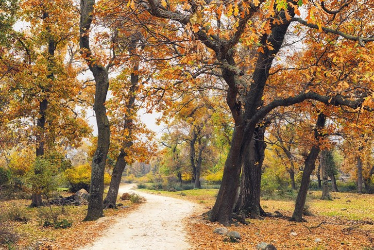 Ara tatil zili çaldı, şimdi keşif zamanı