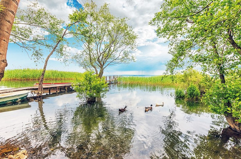 Ara tatil zili çaldı, şimdi keşif zamanı