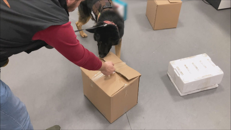 Pes dedirten yöntem Uyuşturucuyu bebek kıyafetlerine emdirmişler