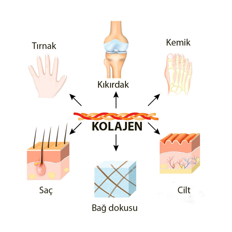KOLAJEN DOSYASI | Bir çılgınlık haline geldi... Gerçekten zamanı geri alabilir mi