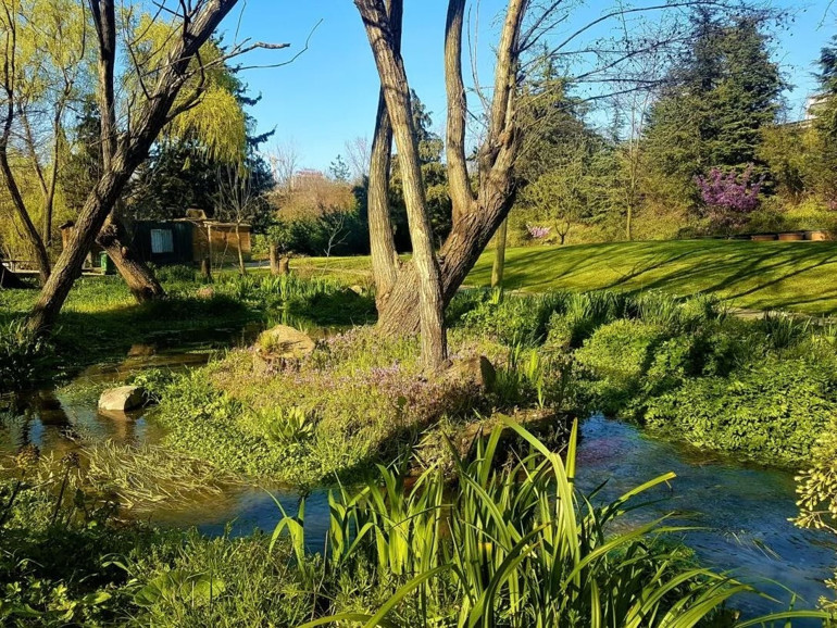 Sonbaharın renkleri: Arboretumlar ve botanik bahçeleri | 6 ŞEHİR 7 ADRES