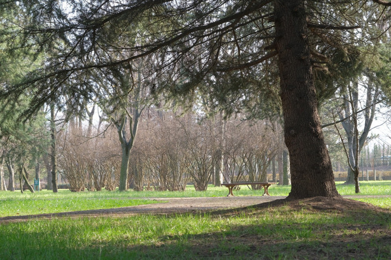 Sonbaharın renkleri: Arboretumlar ve botanik bahçeleri | 6 ŞEHİR 7 ADRES