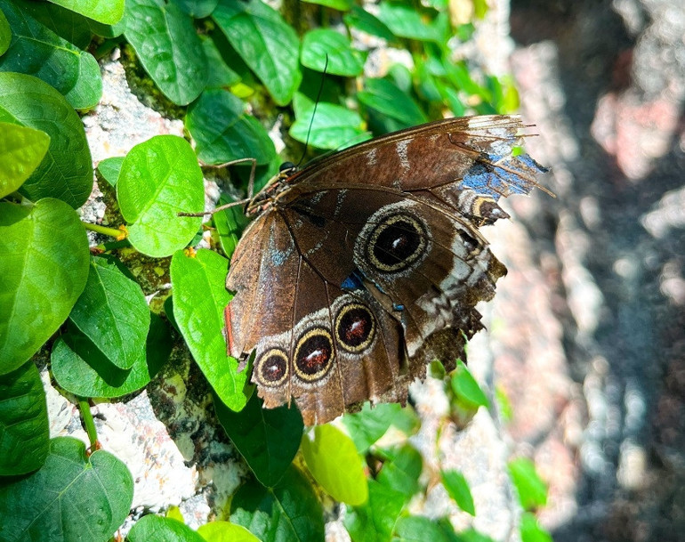 Sonbaharın renkleri: Arboretumlar ve botanik bahçeleri | 6 ŞEHİR 7 ADRES