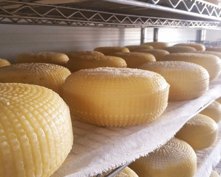 Bölgenin lokomotifi Oran Kalkındırma Ajansı