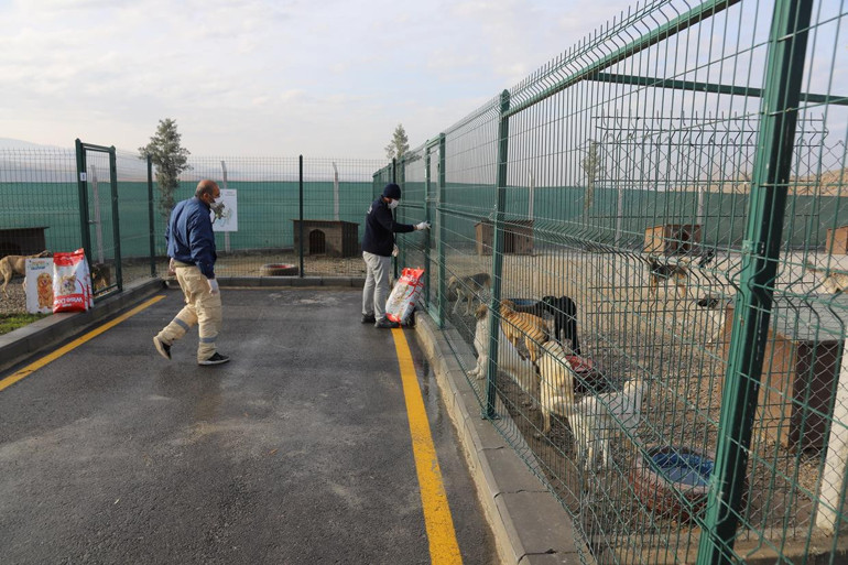 Tartışmalı barınak basına açıldı