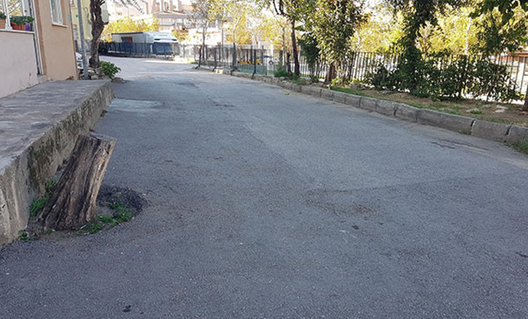 ‘Aydınlanma’ hakkımızı istiyoruz