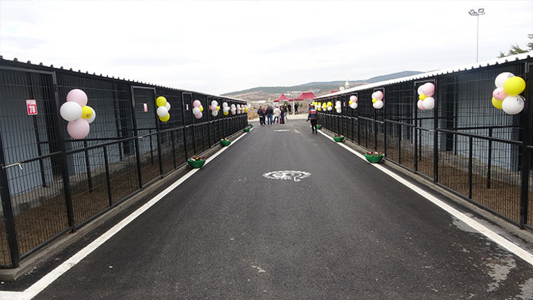 Cumhurbaşkanı Erdoğan talimat verdi, Uşak Hayvan Barınağı yeni yüzüyle açıldı