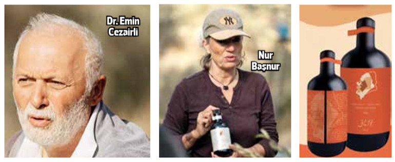 Zeytin ve zeytinyağı yılı