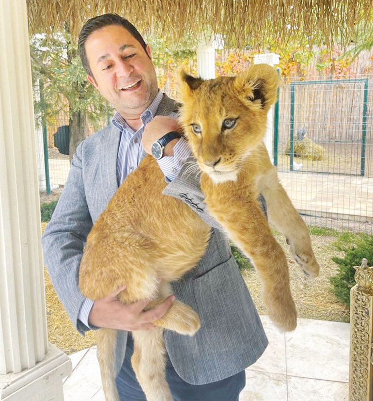 Gri siyasetin renkli yüzleri