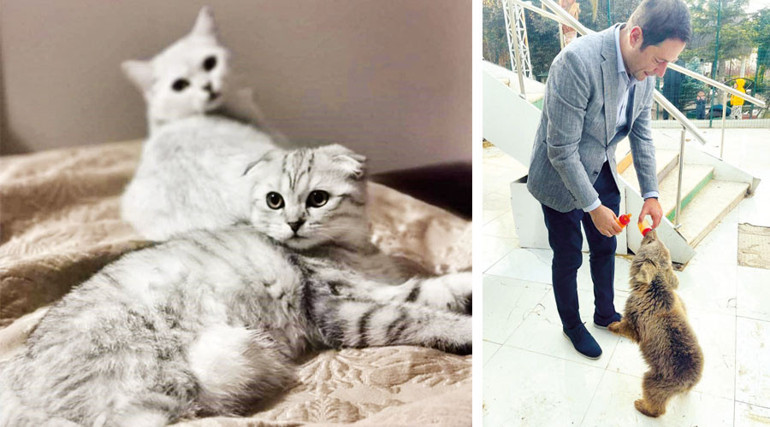 Gri siyasetin renkli yüzleri