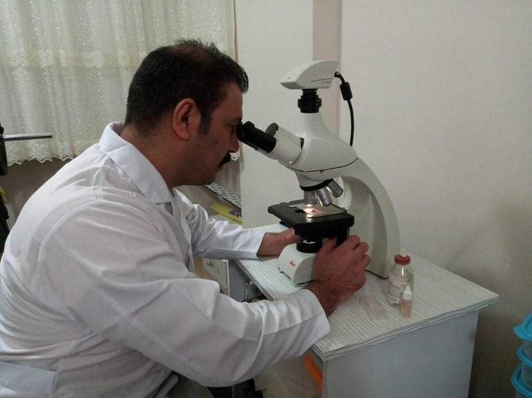 Kuşadasında yeni keşfedilen mantar türüne ilçenin adı verildi