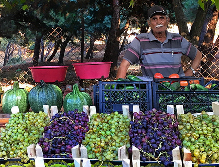 İznik ve Bursa merkezdeki Rumların mutfak kültürü