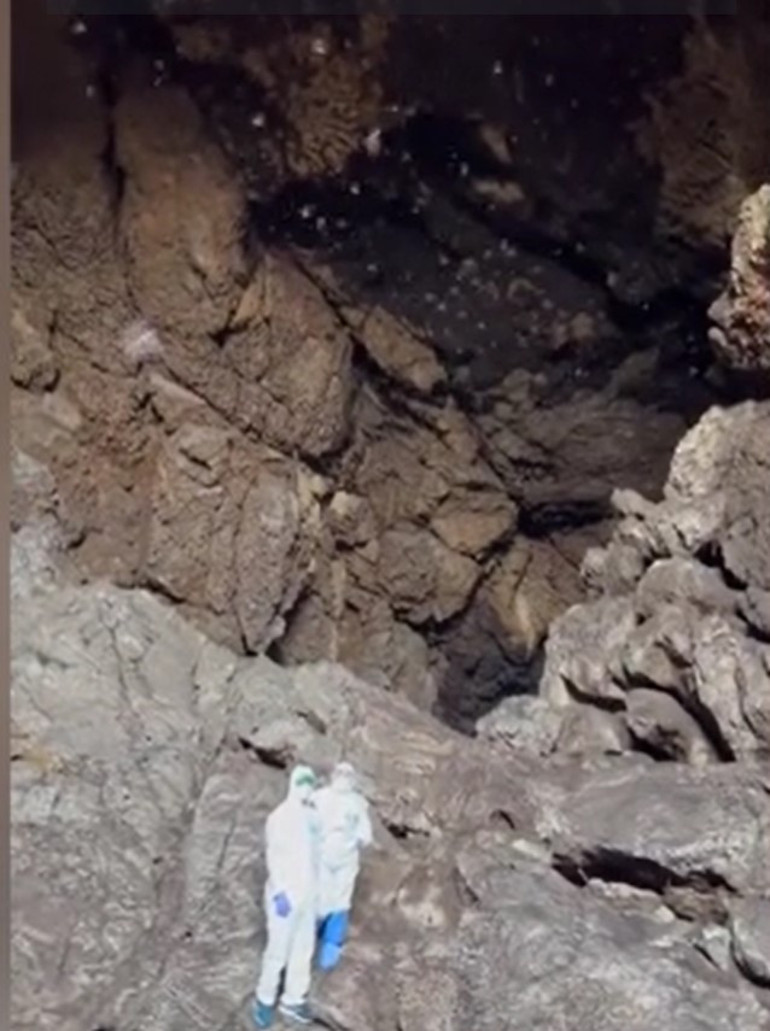 İsmi Kovid-19 skandalına karışan bilim insanı 2 buçuk milyon yarasanın olduğu mağaradan çıktı