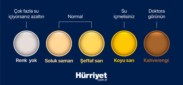 İdrar deyip geçmeyin birçok hastalığın habercisi olabilir... Hangi renk tehlikeli