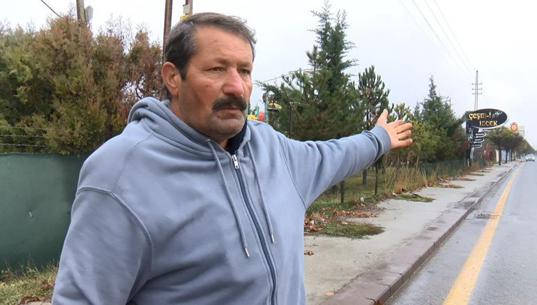 Mahallede aslan paniği