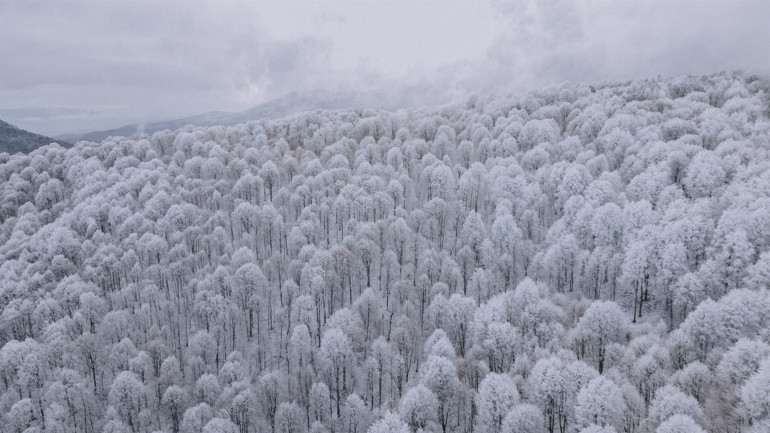 Bursada kartpostallık görüntüler