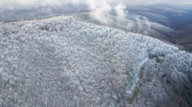 Bursada kartpostallık görüntüler