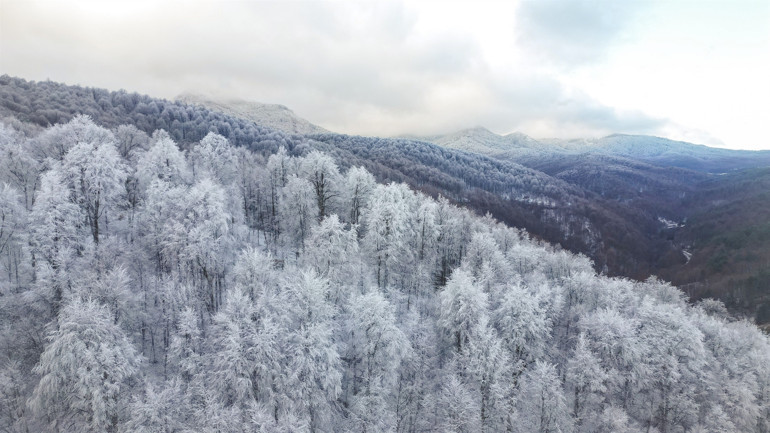 Bursada kartpostallık görüntüler