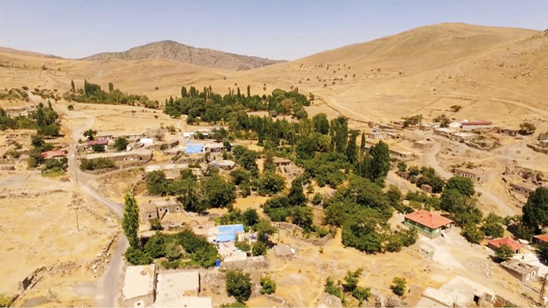 Ağaçlarla konuşan adam
