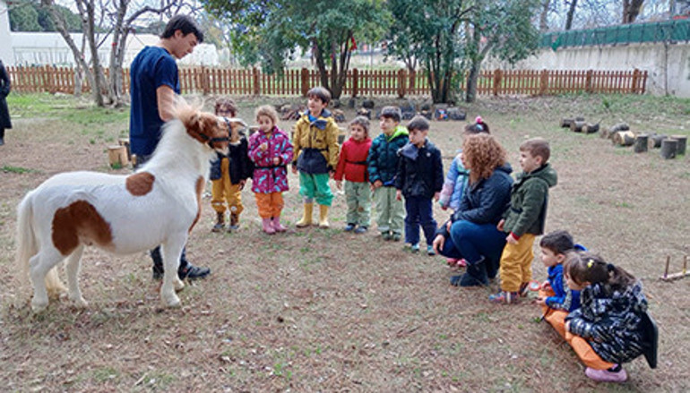 Bu projeyi bakanlık zorunlu yapmalı...