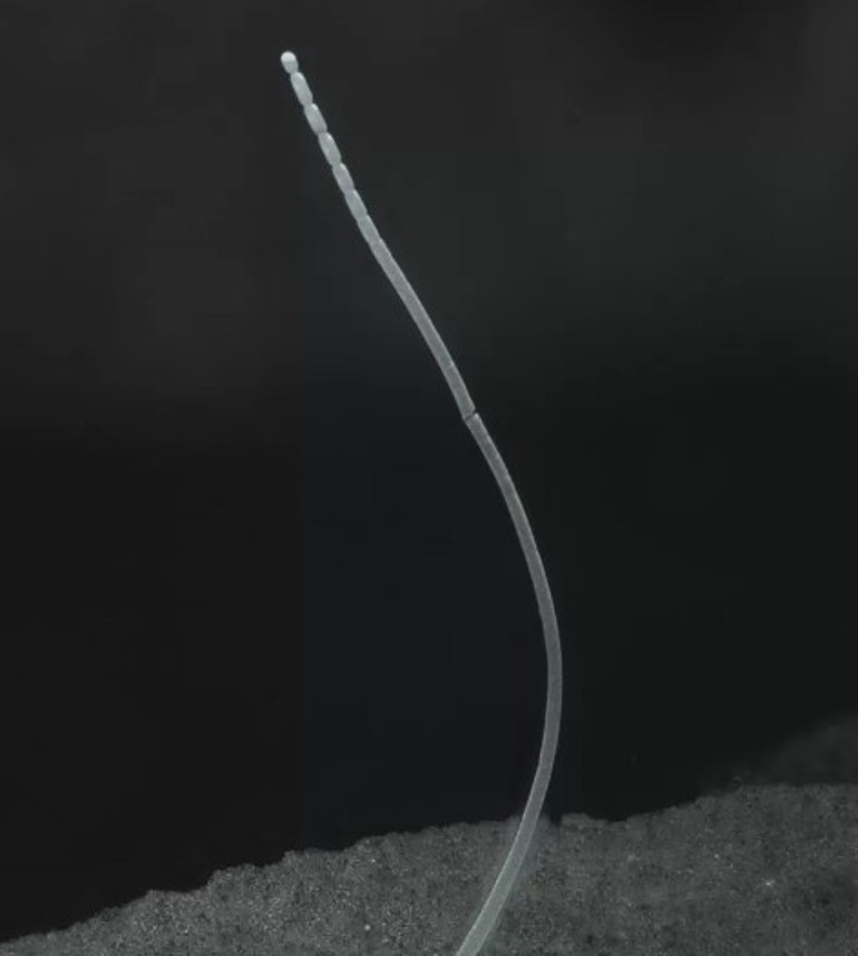 2022de ilk kez gerçekleşen 9 olay