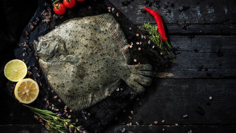 Kalkan balığı nasıl temizlenir, nasıl pişirilir Evde kalkan balığı tarifi ve yapımı