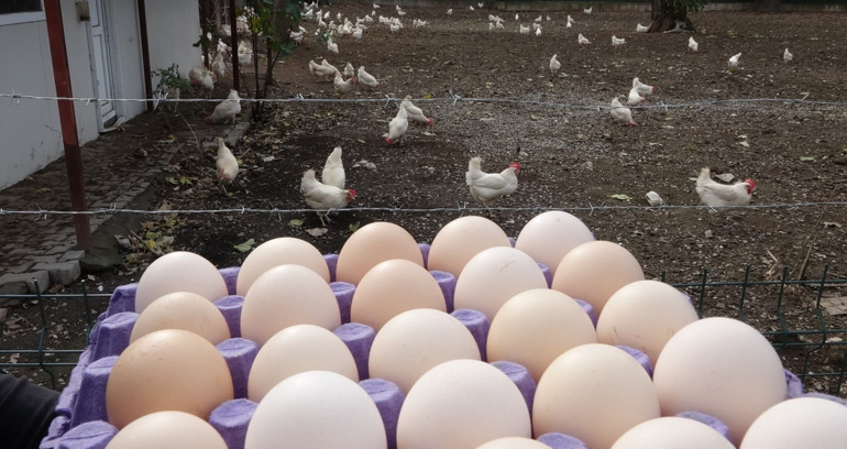 Fabrika gibi okul; 2023 ciro hedefi 10 milyon lira