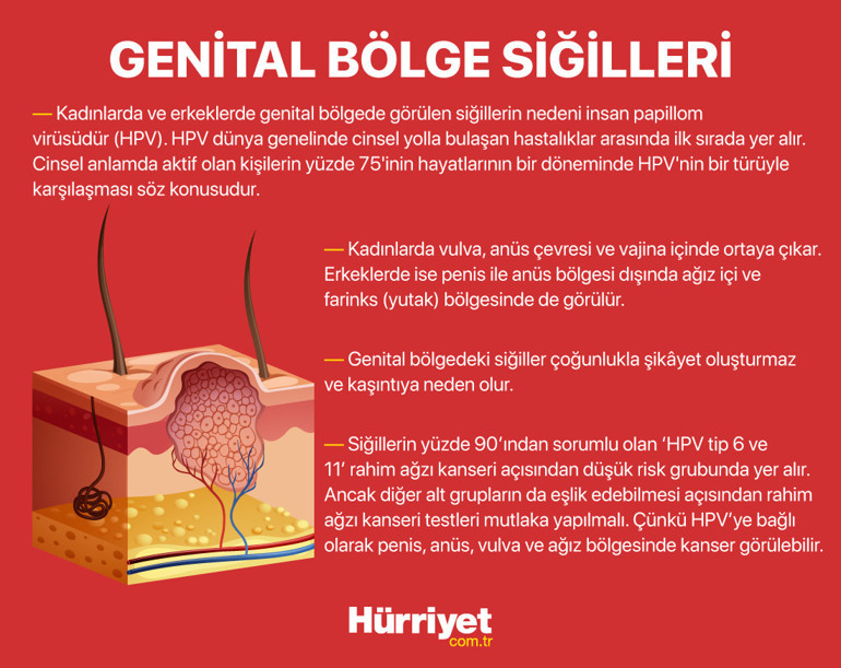 10 SORUDA SİĞİL DOSYASI | Kurbağa ellemekle bulaşır mı Sirke sürmek iyileştirir mi Hangi hastalıkların habercisi