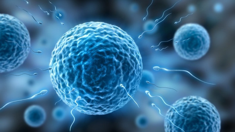 Sperm değerleri global ölçekte düşüyor