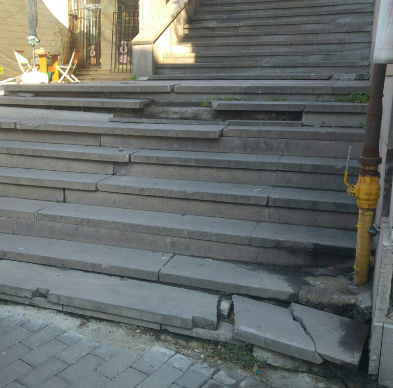 Köpeklerinin dışkılarını sokakta bırakanlar...